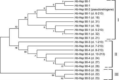 Molecular Characterization and Functional Analysis of the Hb-hsp90-1 Gene in Relation to Temperature Changes in Heterorhabditis bacteriophora